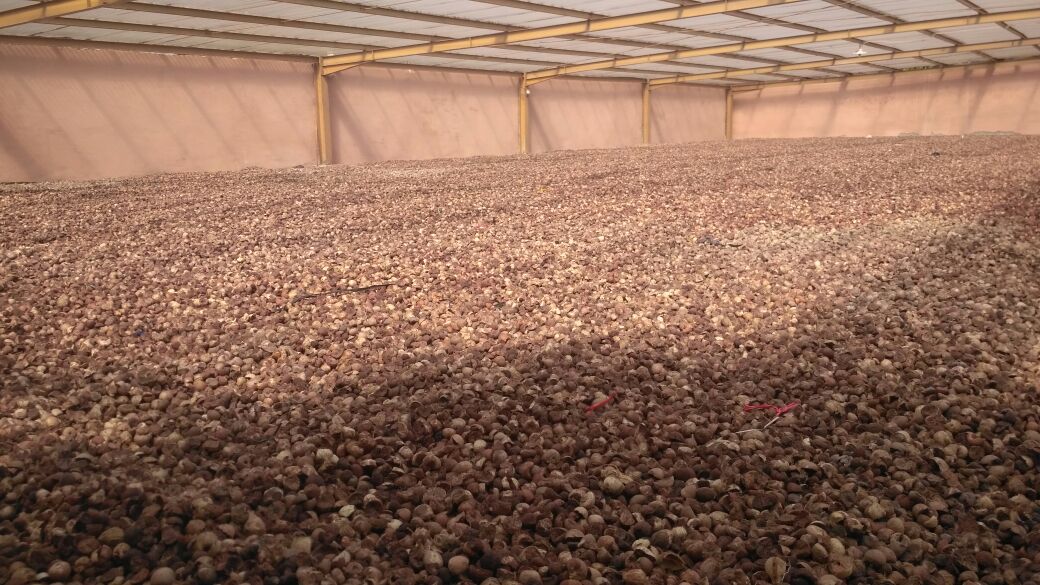 ASNAFF export cargo preparation